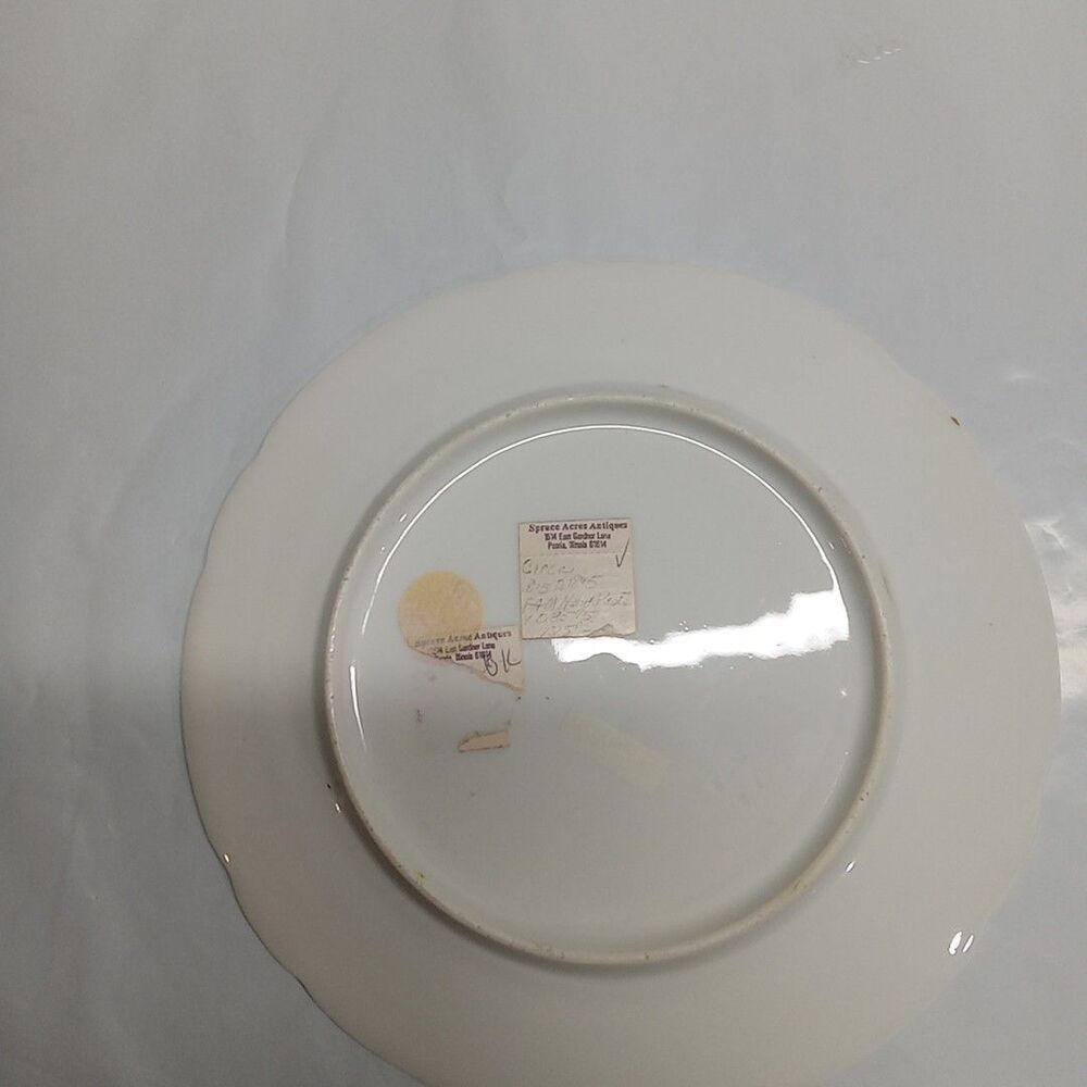 Vintage circo 1815 to 1845 F&M handpainted boy and dog plate 8 Inch - Picture 3 of 4